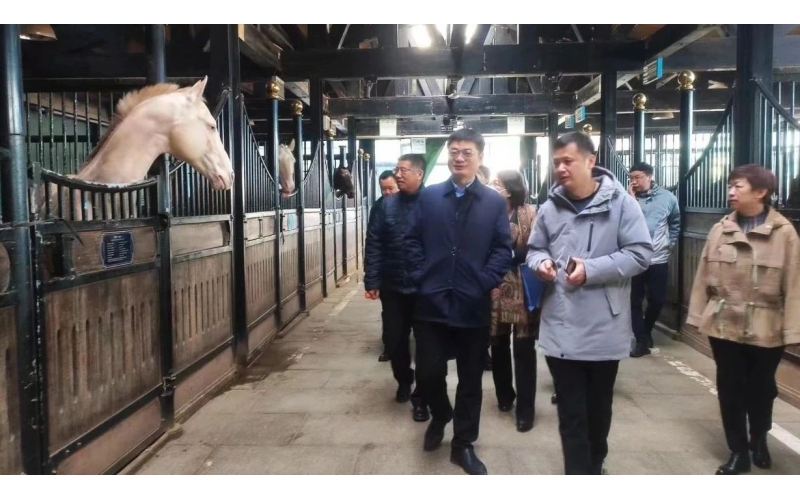 高雷副廳長(zhǎng)在野馬集團(tuán)調(diào)研時(shí)表示，要通過科技助力，精準(zhǔn)解決“卡脖子”問題