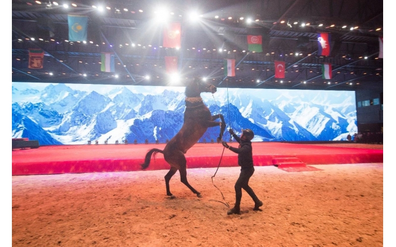 住馬酒店、吃馬肉腸、喝馬奶粉、品馬奶酒--
