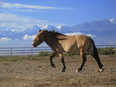 圖片關(guān)鍵詞 圖片關(guān)鍵詞