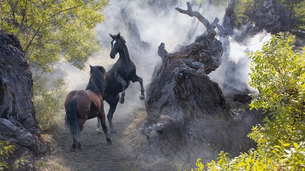 圖片關(guān)鍵詞 圖片關(guān)鍵詞